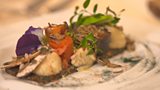 Edible insects