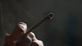 German cannabis laws