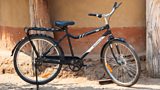 The Buffalo Bicycle