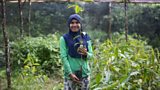 Rewilding the rainforest