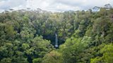 Protecting rainforest landscapes