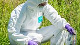 Forensic & legal experts