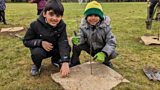 Young Tree Champions programme