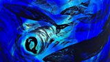 Stained Glass Artwork by Tamsin Abbott