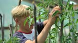 Children are better off in families