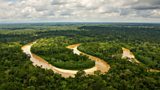 Ripple effects of habitat loss