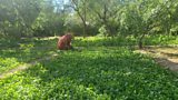 Khatira’s story