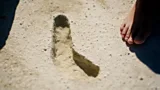 Prehistoric footprints reveal a mother's perilous journey