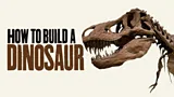 How to Build A Dinosaur