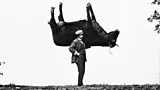 A black and white photograph of a man holding an upside down ox over his shoulder (Credit: Cherry Kearton)