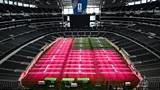 A researcher at the indoor research facility at the University of Tennessee inspects grass under a row of LED lights elevated just a few inches off the ground (Credit: Steven Bridges/University of Tennessee)