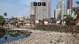 Business Daily, Business Daily, Can the global economy go plastic free?