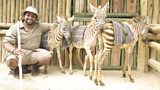 Hamza Loves Animals: Africa thumbnail