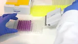 Training the body to fight cancer
