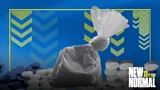 Why have North American overdose deaths dropped so sharply?