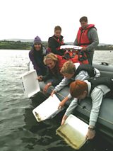 Eel Release