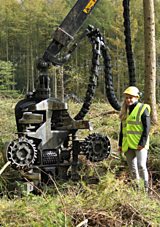 Forests Under Threat