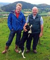 Tom and the disappearing sheep