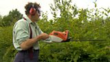 Hedge cutting