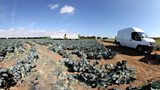 Harvest in 360º