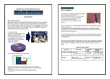 Stuart's CV