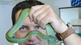 Dr Rhys Jones, Cardiff University