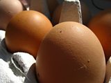 Battery hens used in food products?