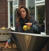 An unusual place for an apple