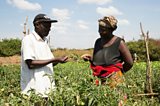 Village-based entrepreneurs