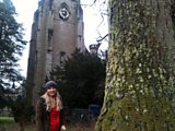 The great tree hunt