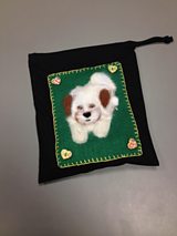 The Bag Answers - Thursday 20th March