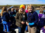 Scilly seabirds