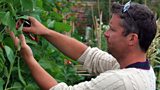 #AllotmentChallenge