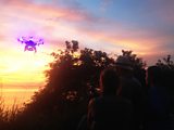 Flying with the bats