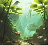 Pond life inspiration