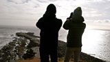 Bird observatories