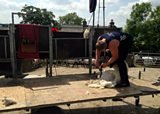 Shearing superstars