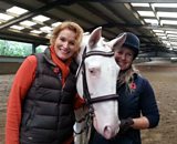 Lusitano horses