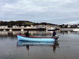 Conwy mussels