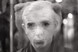 SJ Fowler