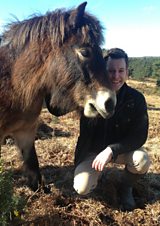 Ashdown Forest