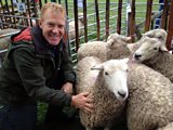 Widecombe Fair