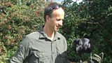Lloyd Buck and Brann the raven
