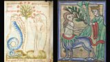Five fantastic medieval beasts and where to find them