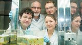 The team at Aberystwyth University