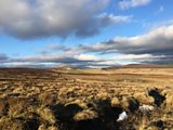 Cabrach Whisky