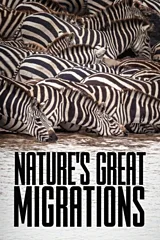 Nature's Great Migrations