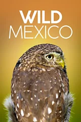 Wild Mexico
