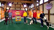 Who Let The Dogs Out? - Series 2 - Dogs With Distractions
