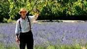 Monty Don's French Gardens - The Gourmet Garden
